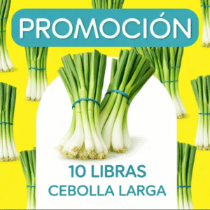 PROMOCION CEBOLLA LARGA X 10 LIBRAS