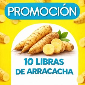 promocion arracacha x 10 libras