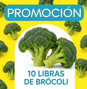 PROMOCION BROCOLI 10 LIBRAS
