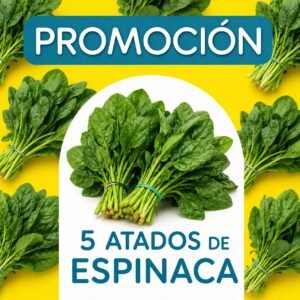 PROMOCION ESPINACA ATADO 5 UNIDADES