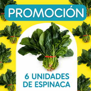 PROMOCION ESPINACA ATADO 6 UNIDADES