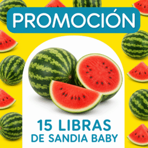 PROMOCION SANDIA BABY 15 LIBRAS